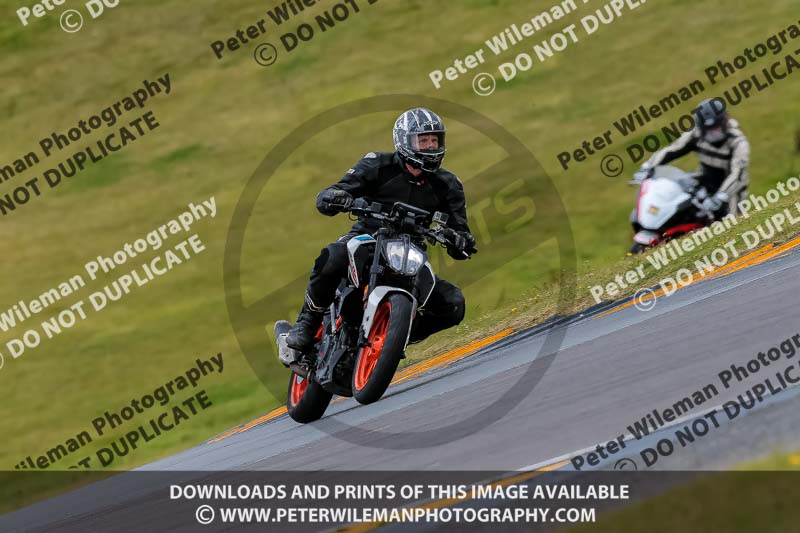 PJ Motorsport 2019;anglesey no limits trackday;anglesey photographs;anglesey trackday photographs;enduro digital images;event digital images;eventdigitalimages;no limits trackdays;peter wileman photography;racing digital images;trac mon;trackday digital images;trackday photos;ty croes